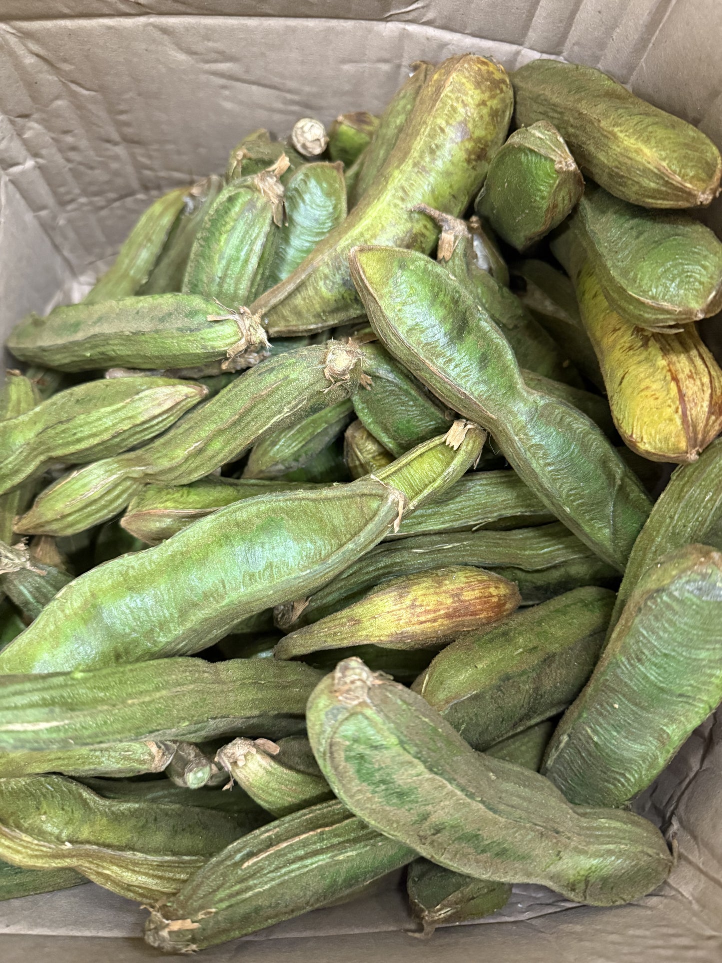 PEPETOS CUSHIN GUAMA O GUABA